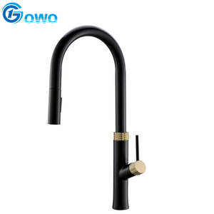 American Cupc New Modern Black and Gold Brass Body Pull Out Kitchen Faucet